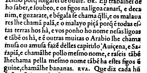 trecho da obra de Garcia de Orta