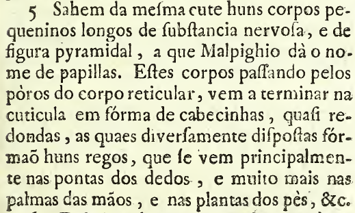 A ortografia do século XVIII